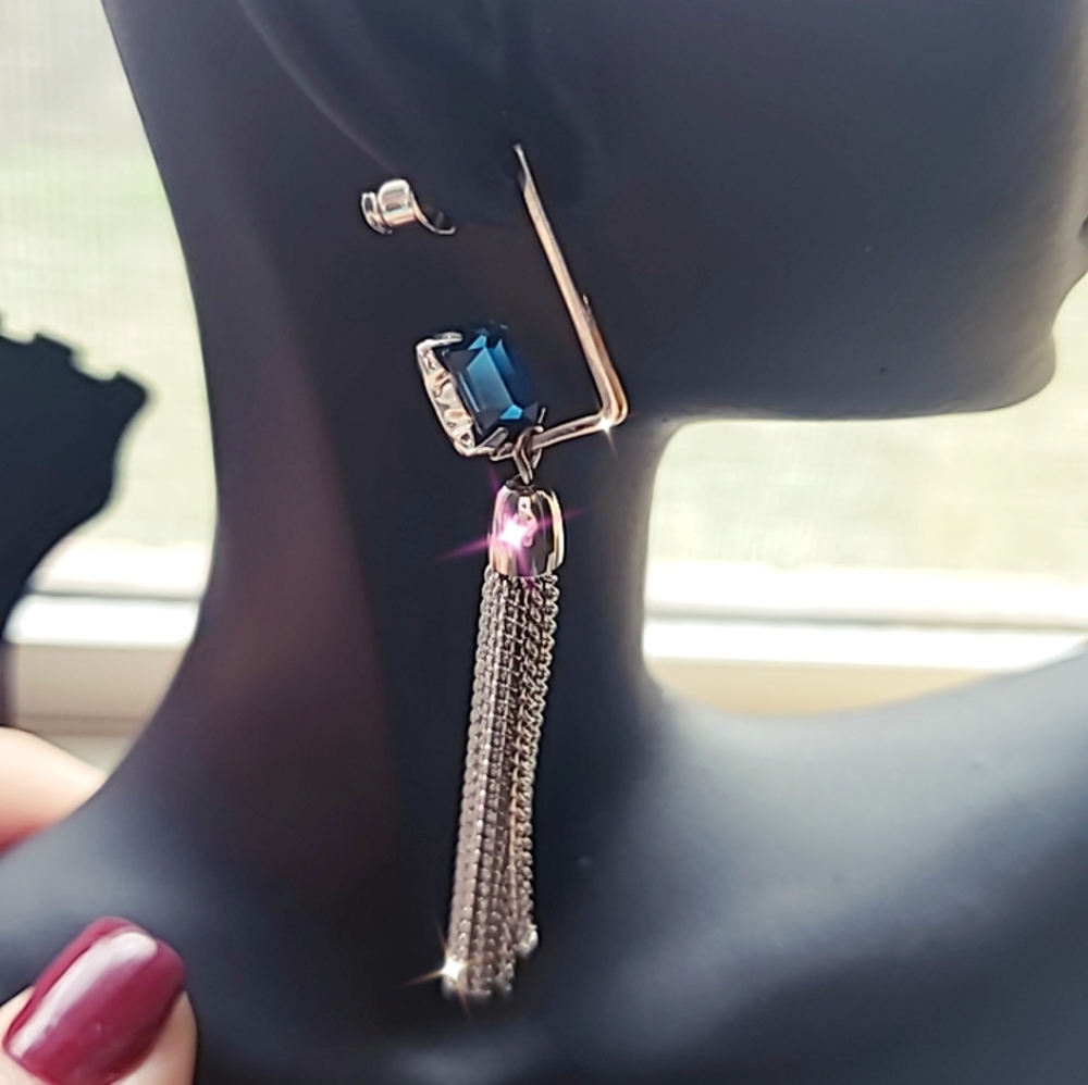 Earrings NWT